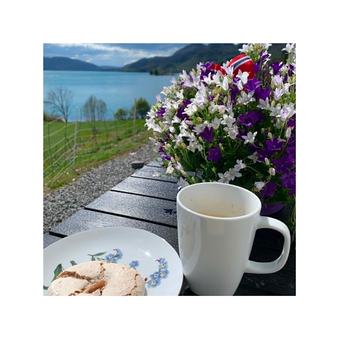 Uten navn (Instagram-innlegg) (1).png