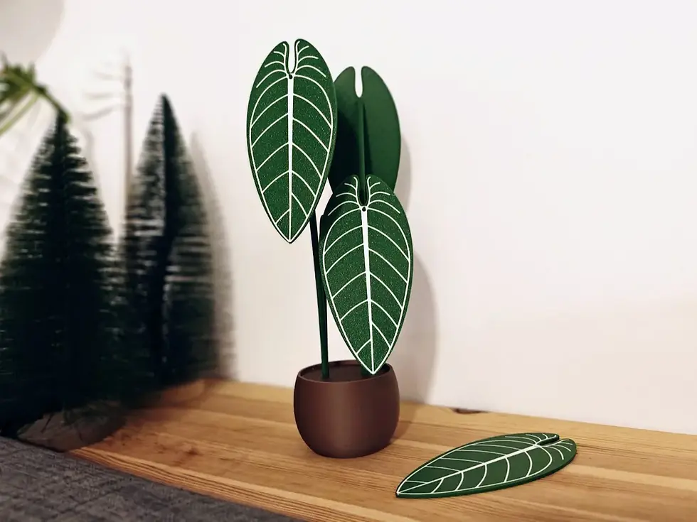 Anthurium warocqueanum Bardak Altlığı