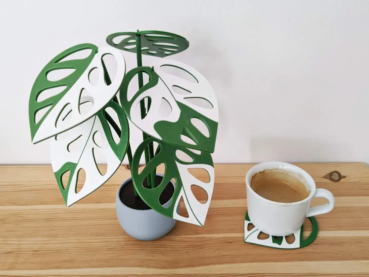 Monstera adansonii Bardak Altlığı