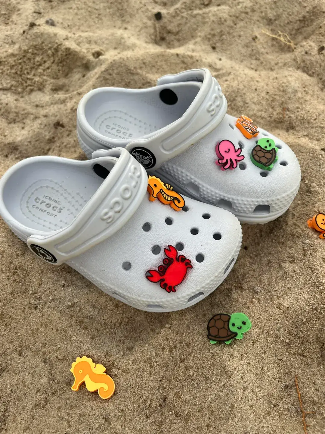 5'li Deniz Hayvanları Crocs Charm