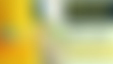 Person in yellow apron and gloves holds sponge. Ad features "Spring Clean Your Card Debt" offer with 1.99% APR for 12 months.