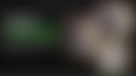 Volunteers work to benefit members at large