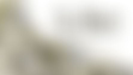 7 Month CD Special Rate Offer