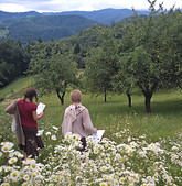 WP_20150818_10_56_11_Pro.jpg