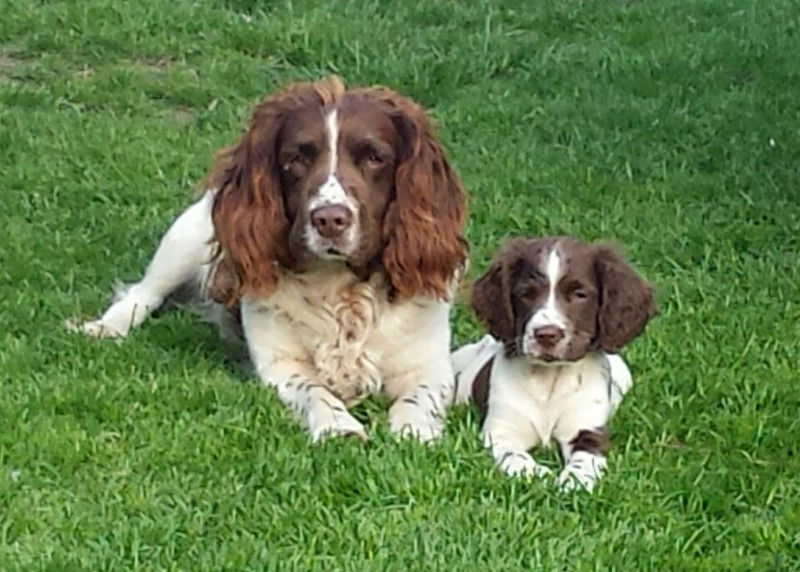 5F31C35F-AEF8-4D0D-94FF-B6FC34752A29 (1)