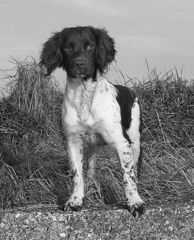 525D1D82-3EF7-46FA-9B50-10BD3B34EF39