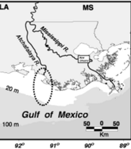 220px-Atchafalaya_River.png