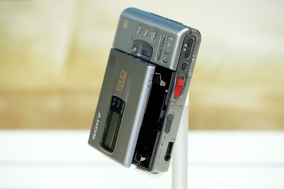 67206776_388824215081307_495068330315481088_n