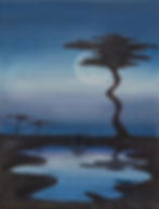 Quand la nuit éclaire