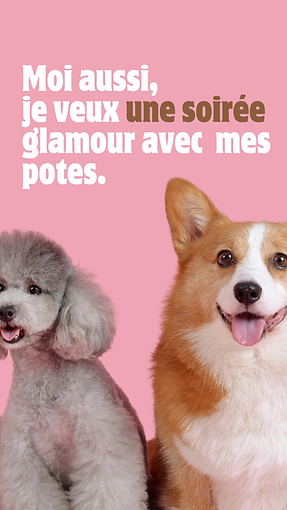 Offre "Dog party privée"