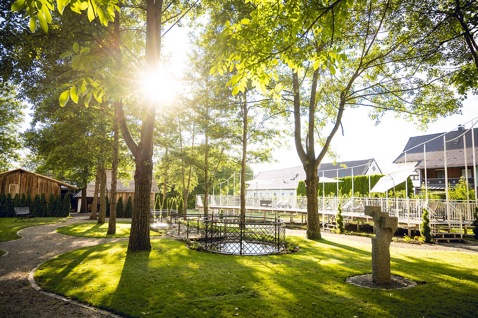 Schlossgarten mit Bäumen und Grünflächen