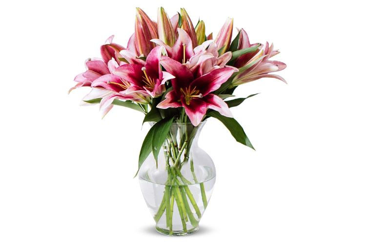 Envía flores a tus familiares o amigos en USA