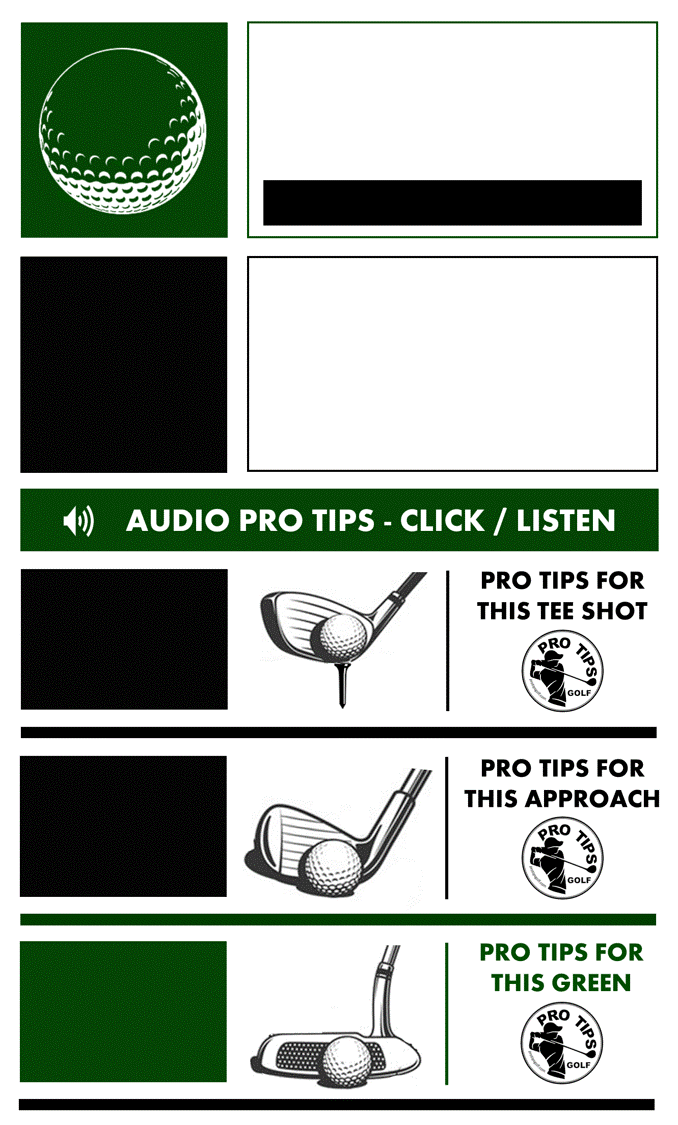 PRO TIPS - HOLE PAGE - TOP.gif