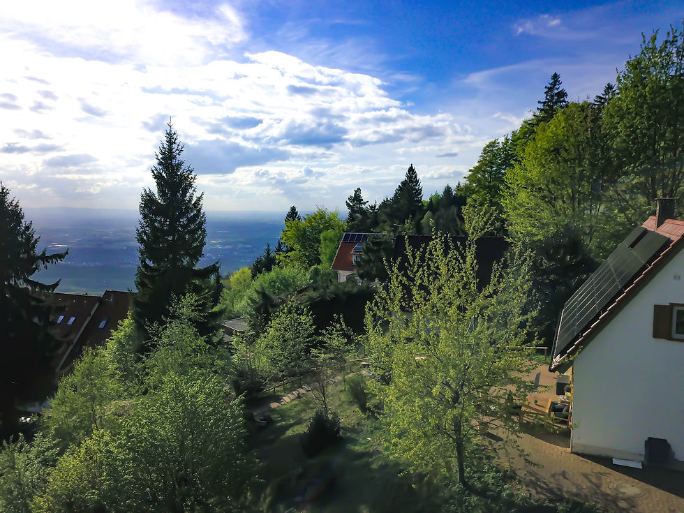 Chalet Bergweide Luftaufnahme 2
