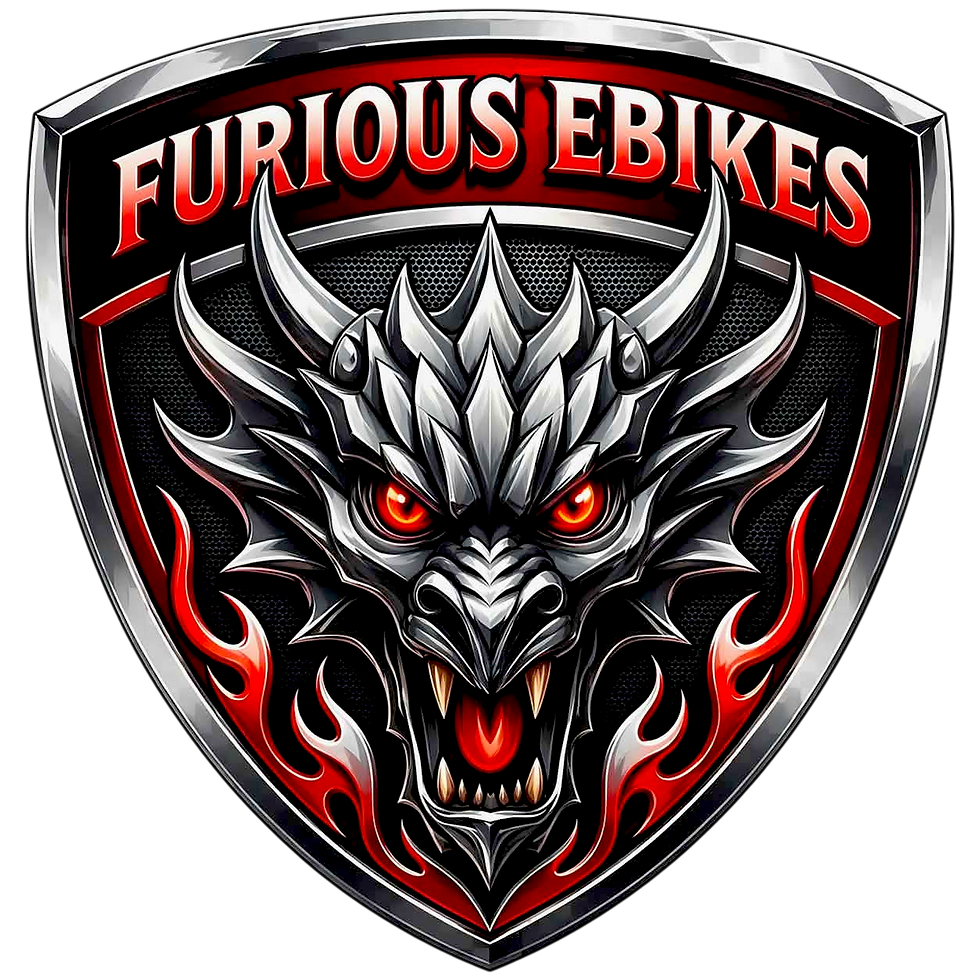 Furious Badge Logo Silver Boarder-Photoroom.png