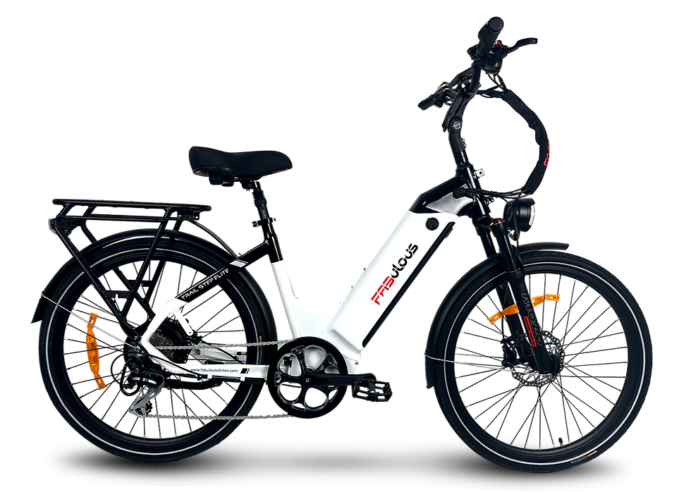 Trail Step Elite by Furious Ebikes (Fabulous Ebikes)