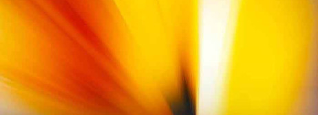 Wellness Natures Way laser therapy.jpg