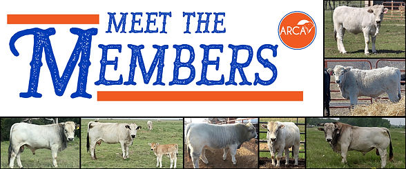 newsletter header2.jpg