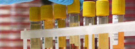 Wellness Natures Way labs copy.jpg