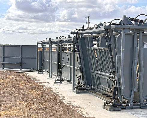 Trojan Livestock Equipment cattle chute