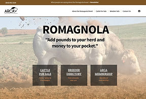 romagnola snapshot 2026.jpg