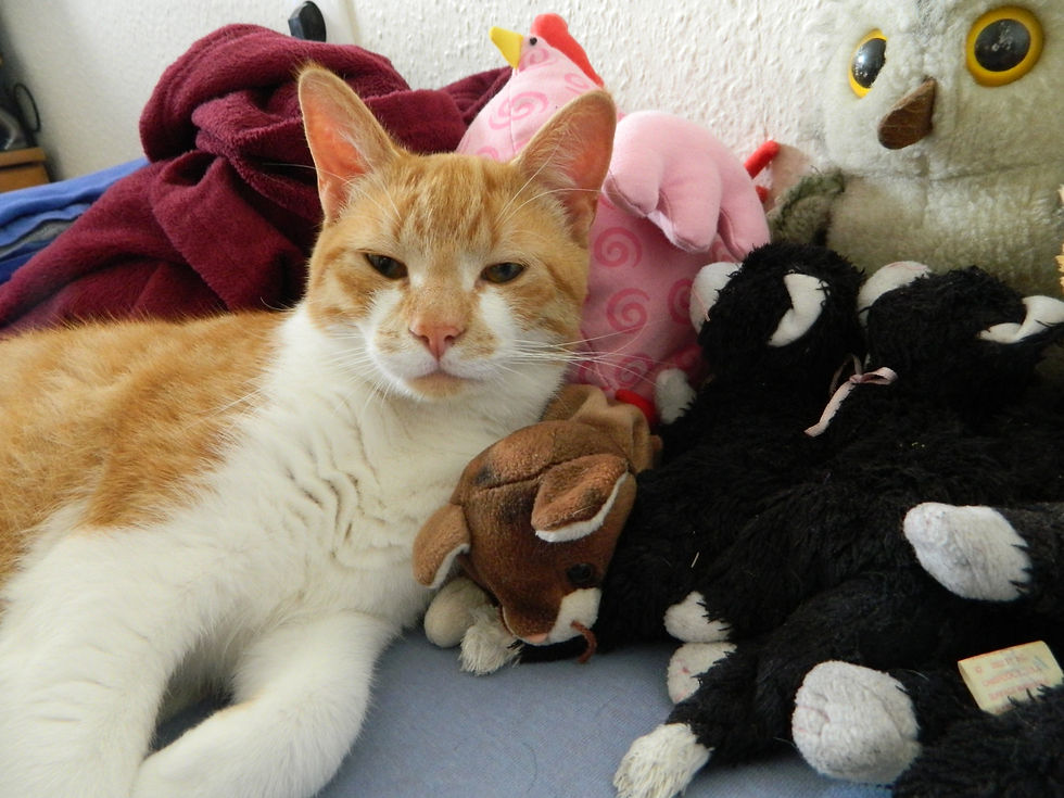Hannibal and Friends