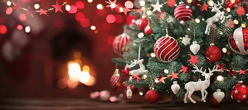 Welcome-world-of-christmas-banner-1_x800.webp