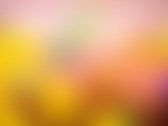 HOLI: A holy period for the economy?