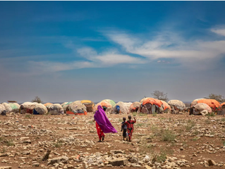 Between Political Chaos and Drought: Somalia on the Brink