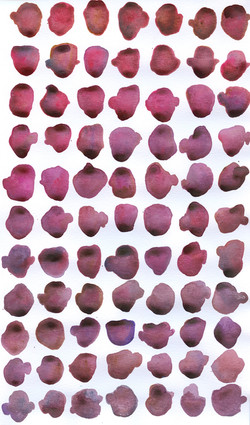 4 Dark Red_Purple