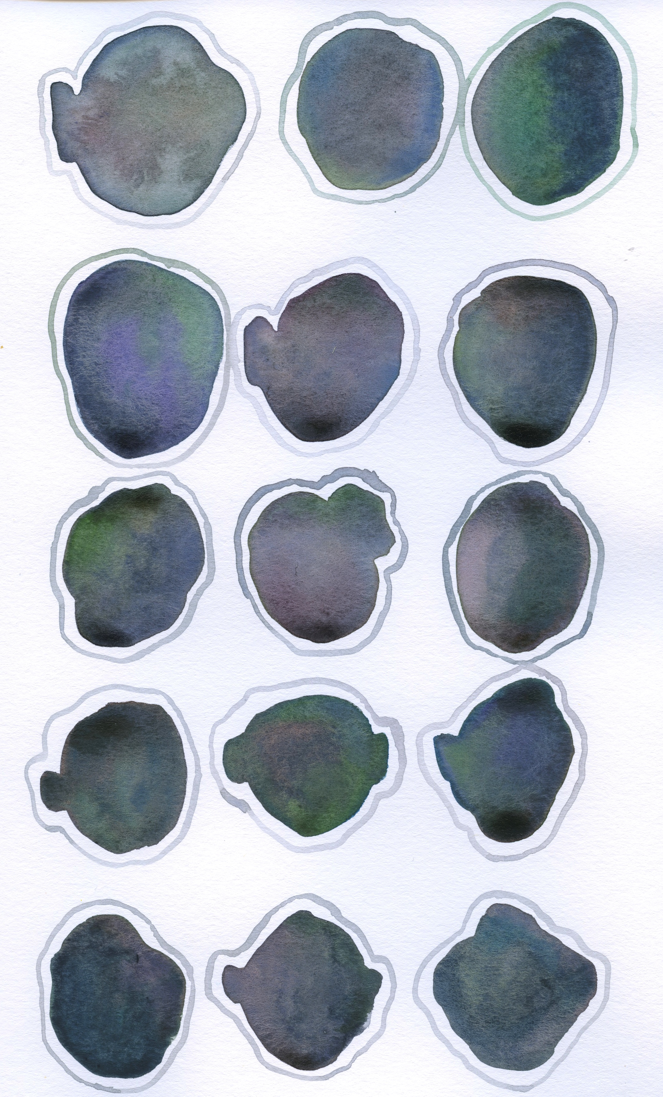 19 Green_Brown_Purple_Teal Grey Outline