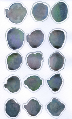 19 Green_Brown_Purple_Teal Grey Outline