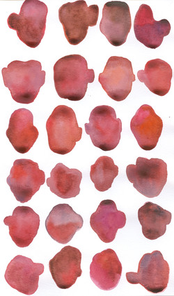 7 Red_Orange_Pink