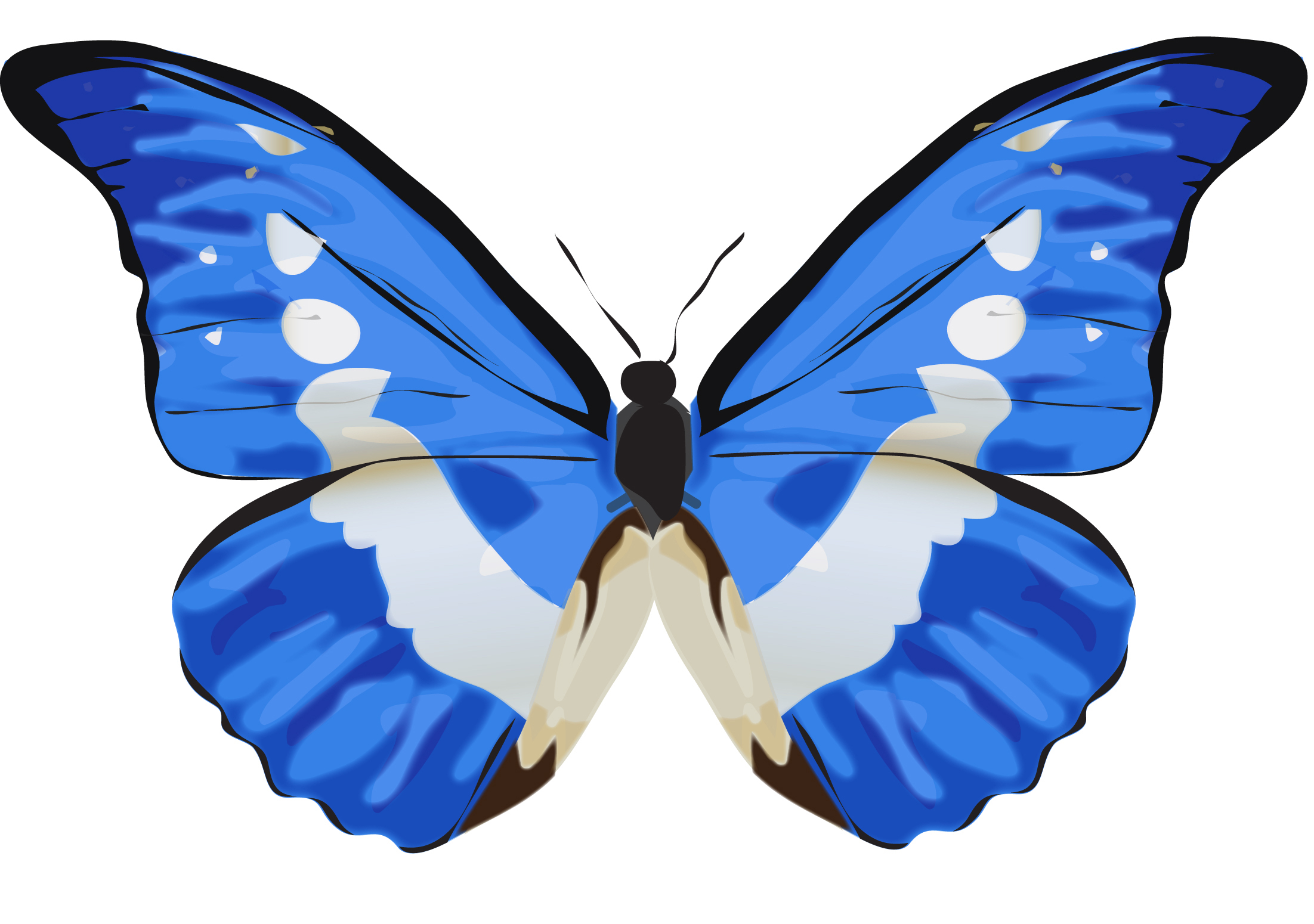 Butterfly Recreation copy