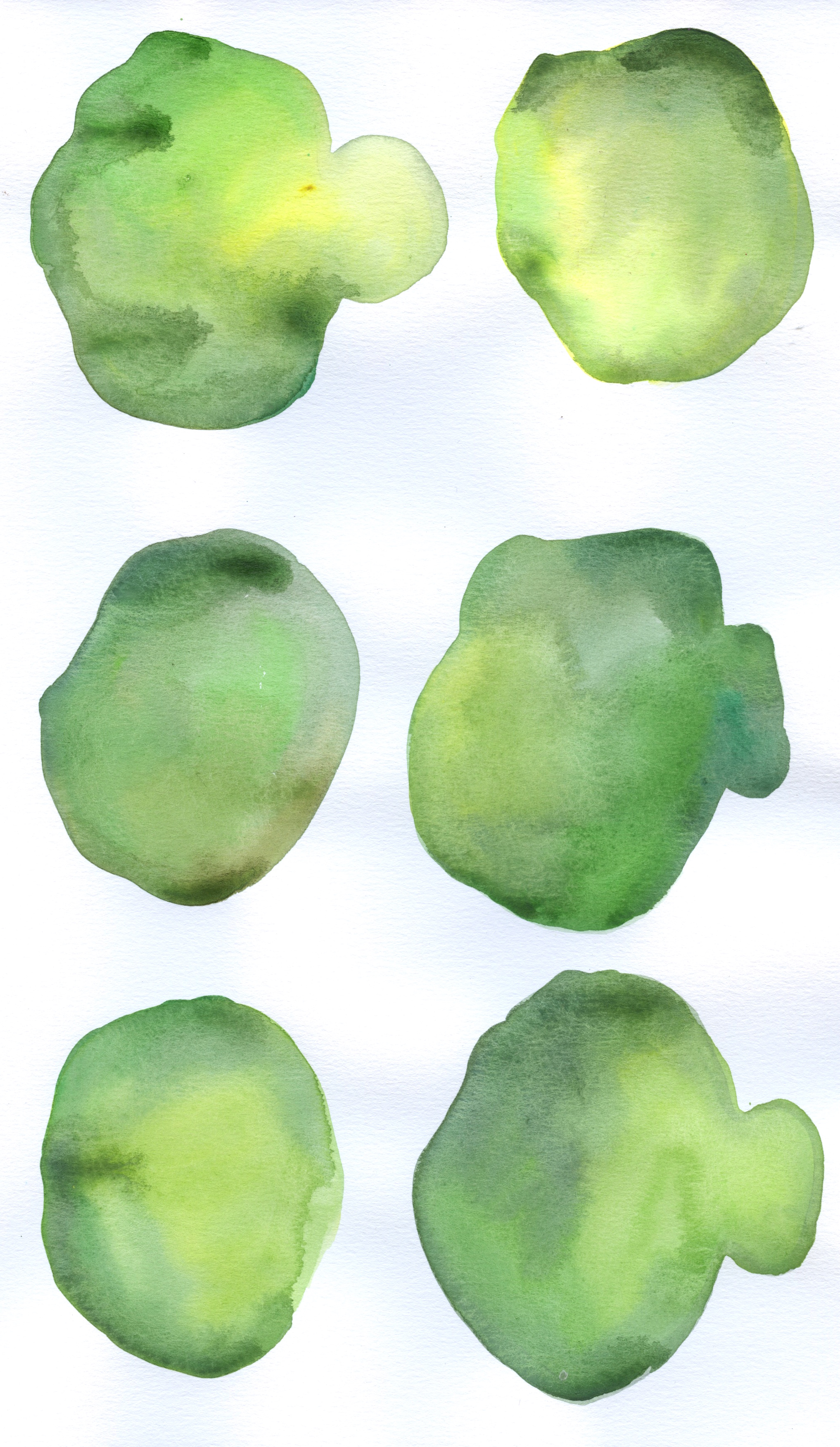 14 Green