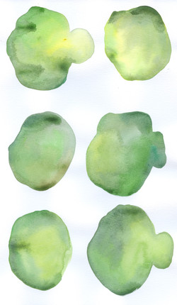 14 Green