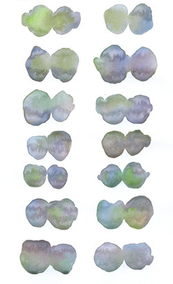 29 Purple_Green_Brown