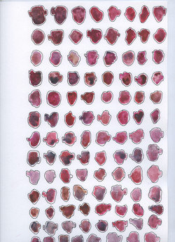 3 Red_Purple, BLK outline 2