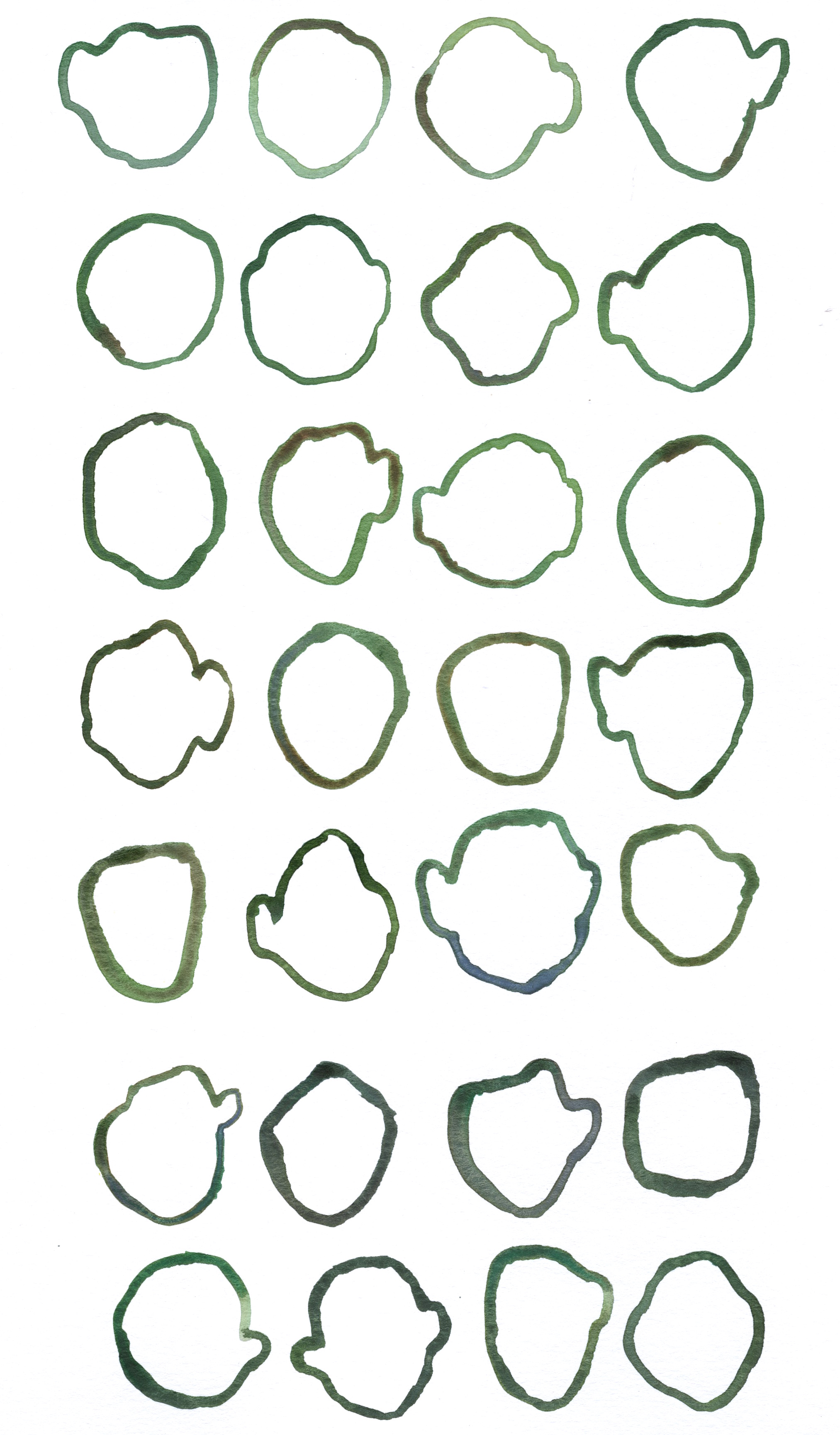 17 Green_Brown Outline