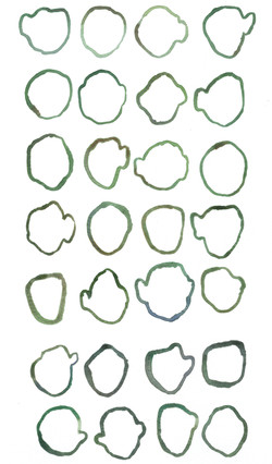 17 Green_Brown Outline
