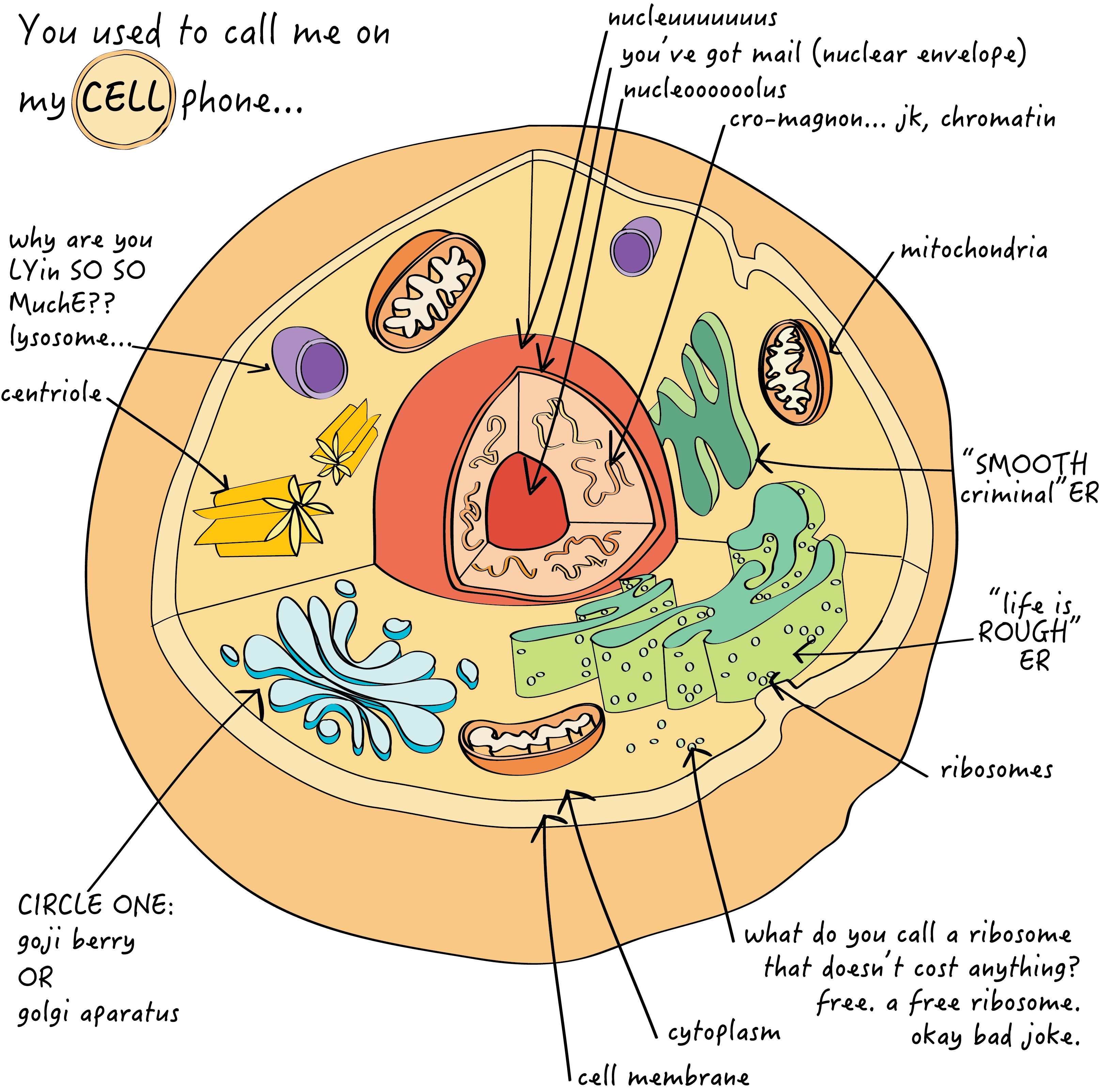 Cell Rendering
