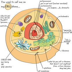 Cell Rendering