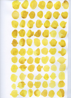 12 Yellow