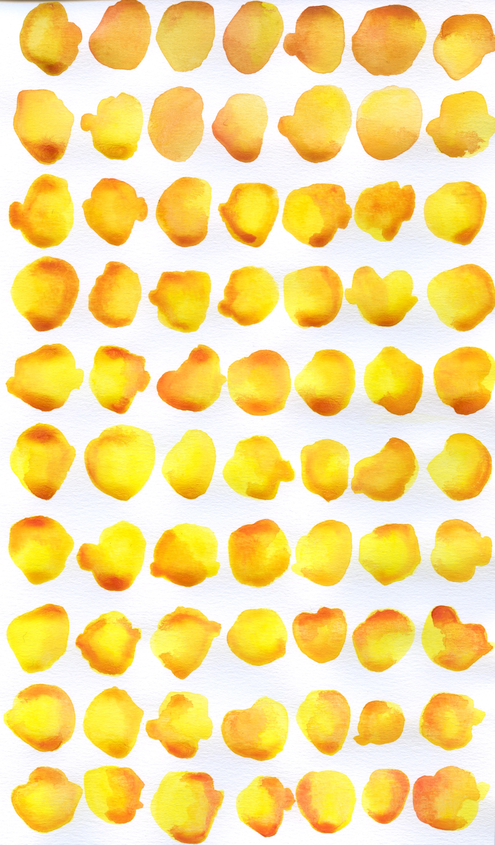 11 Yellow_Orange