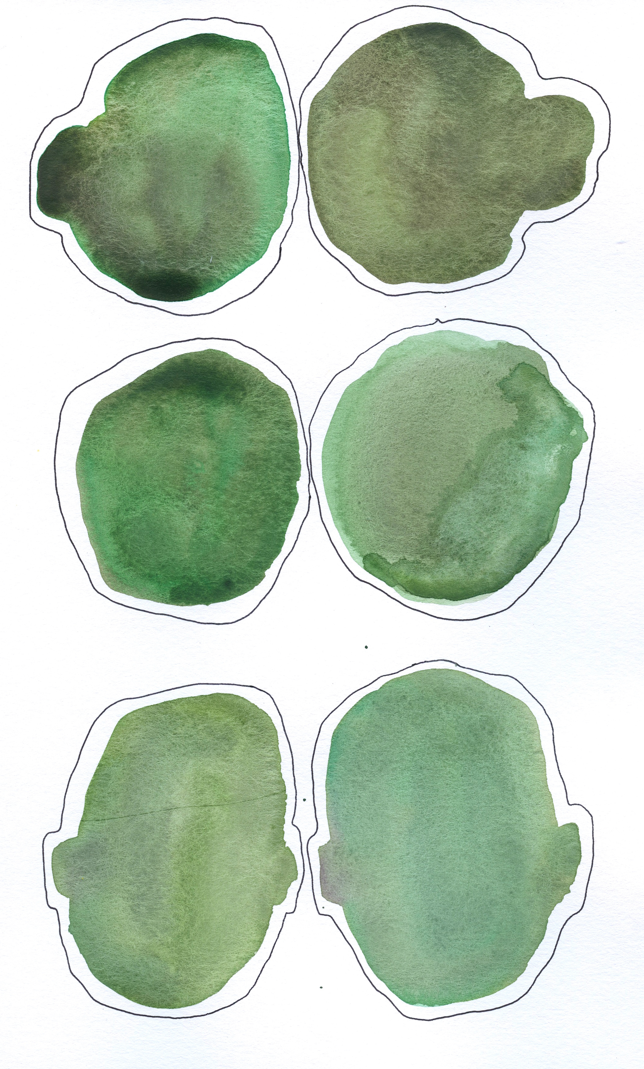 16 Green_Brown Pen Outline