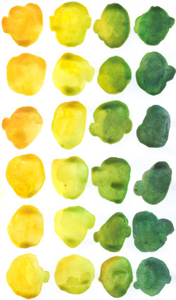 13 Yellow to Green
