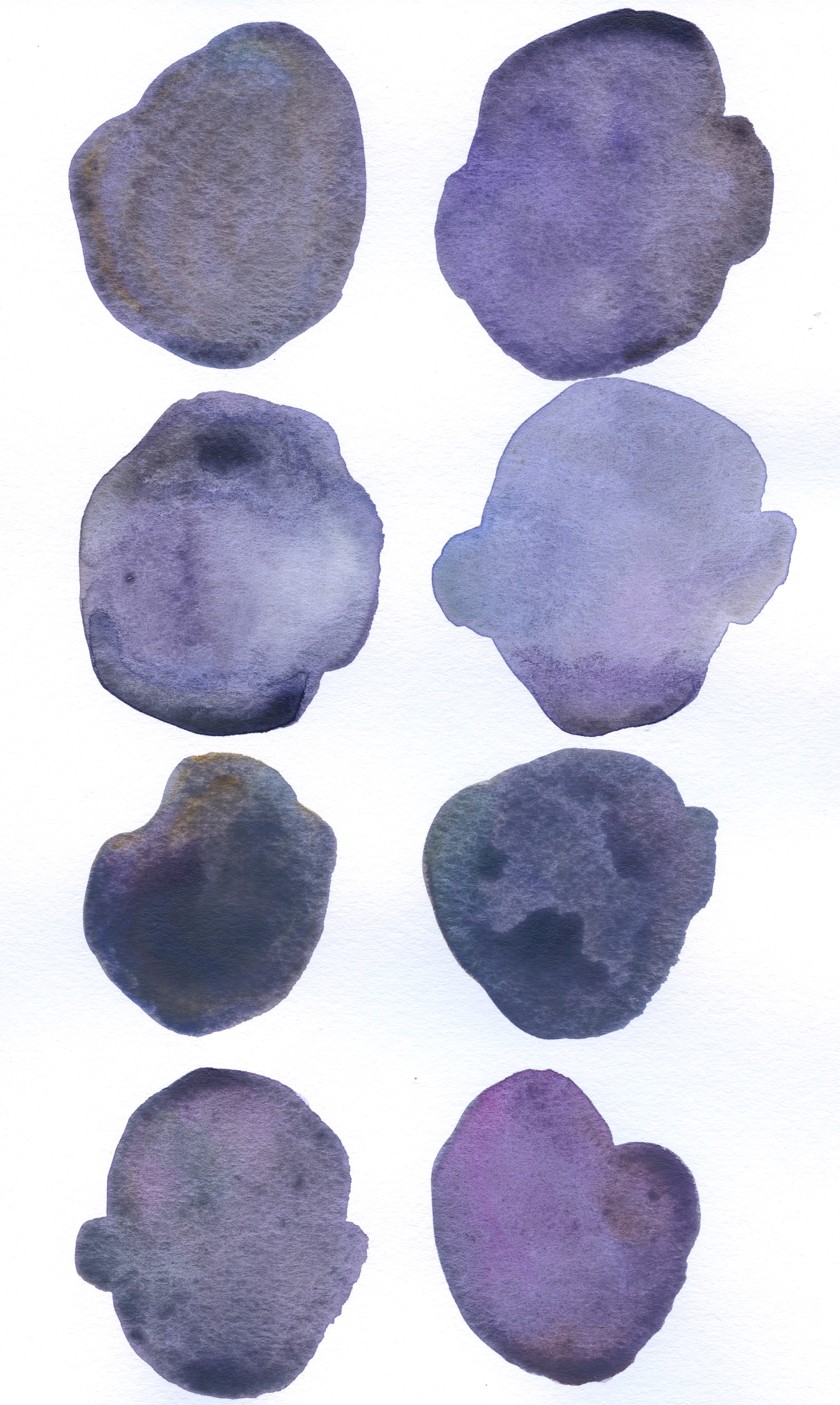 28 Purple_Periwinkle_Brown