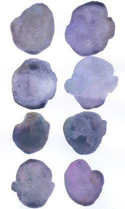 28 Purple_Periwinkle_Brown