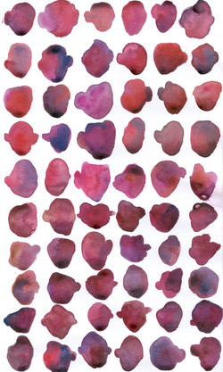 2 Red_Purple