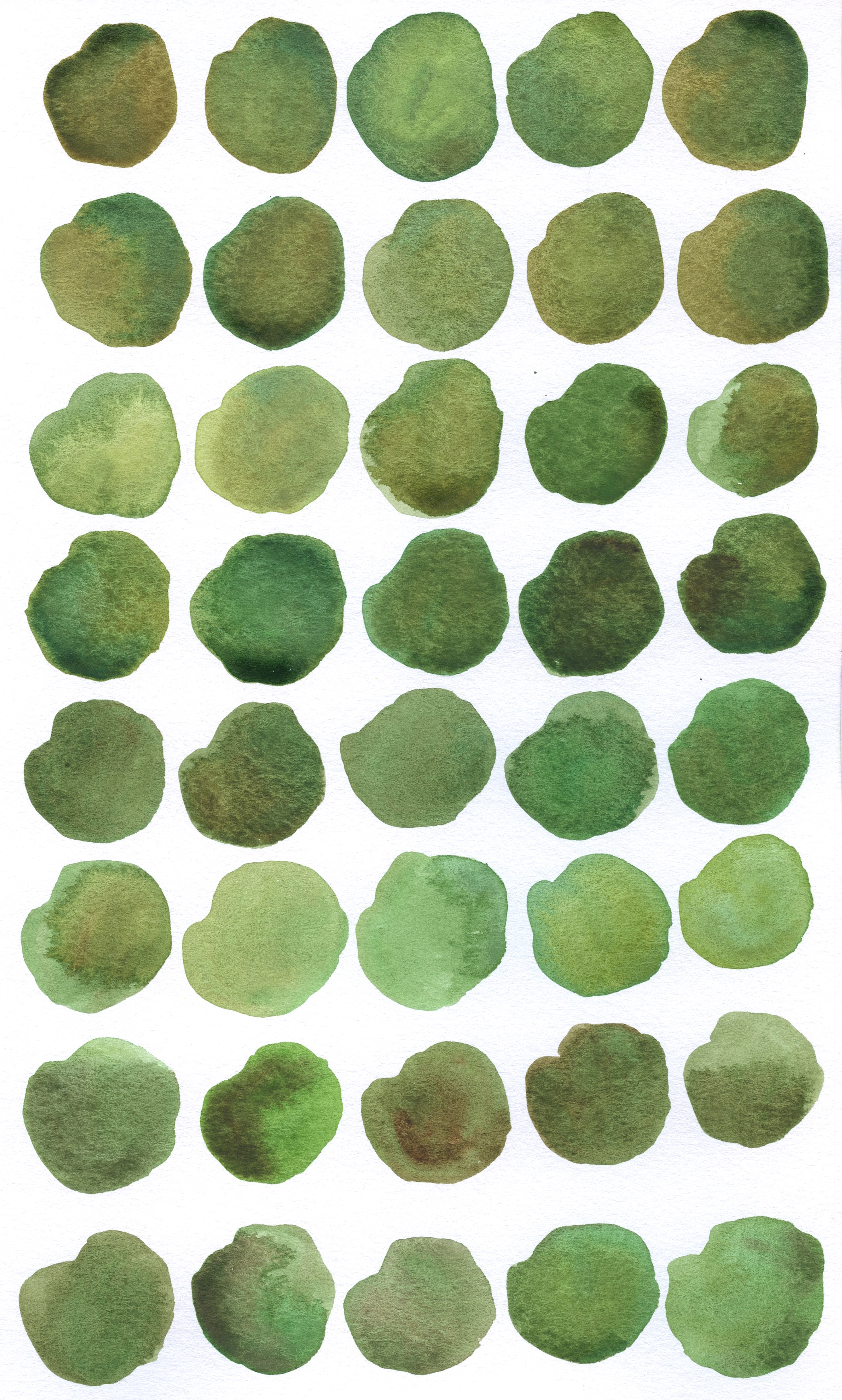 15 Green_Brown